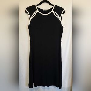 Calvin Klein Black Sleeveless Sheath Dress Size 10